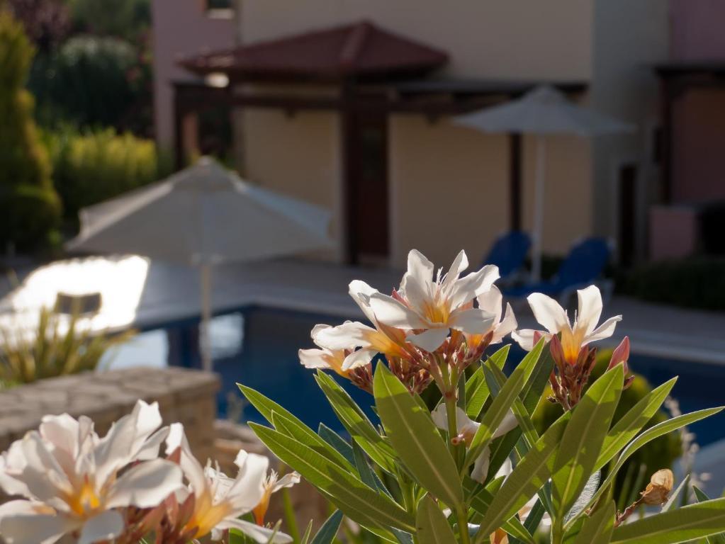 Eligia Villas Mixórrouma Rum bild